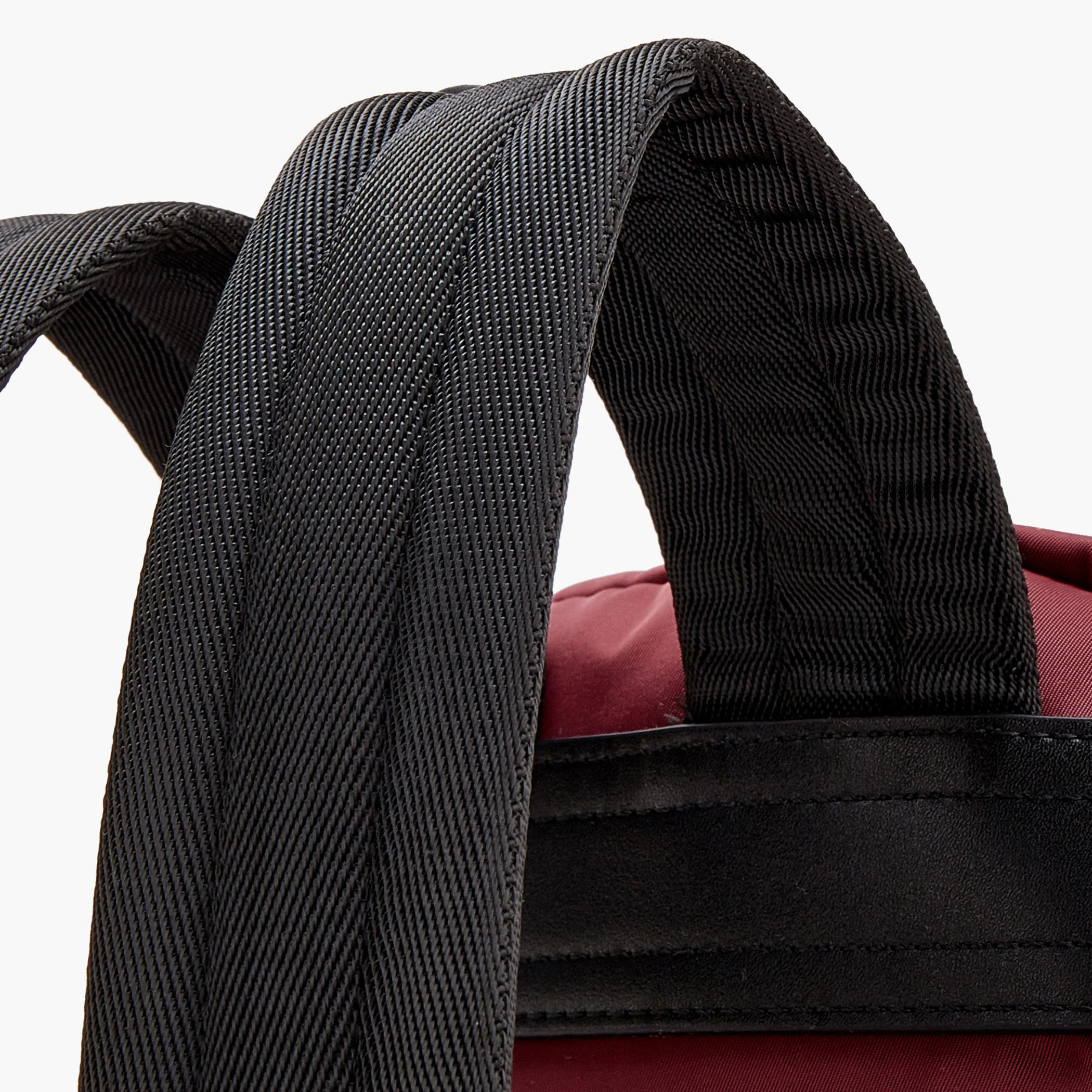 شنطة ظهر بحمالات مبطنة وطبعات شعار من لي كوبر-women-bagsandwallets-backpacks-image-6