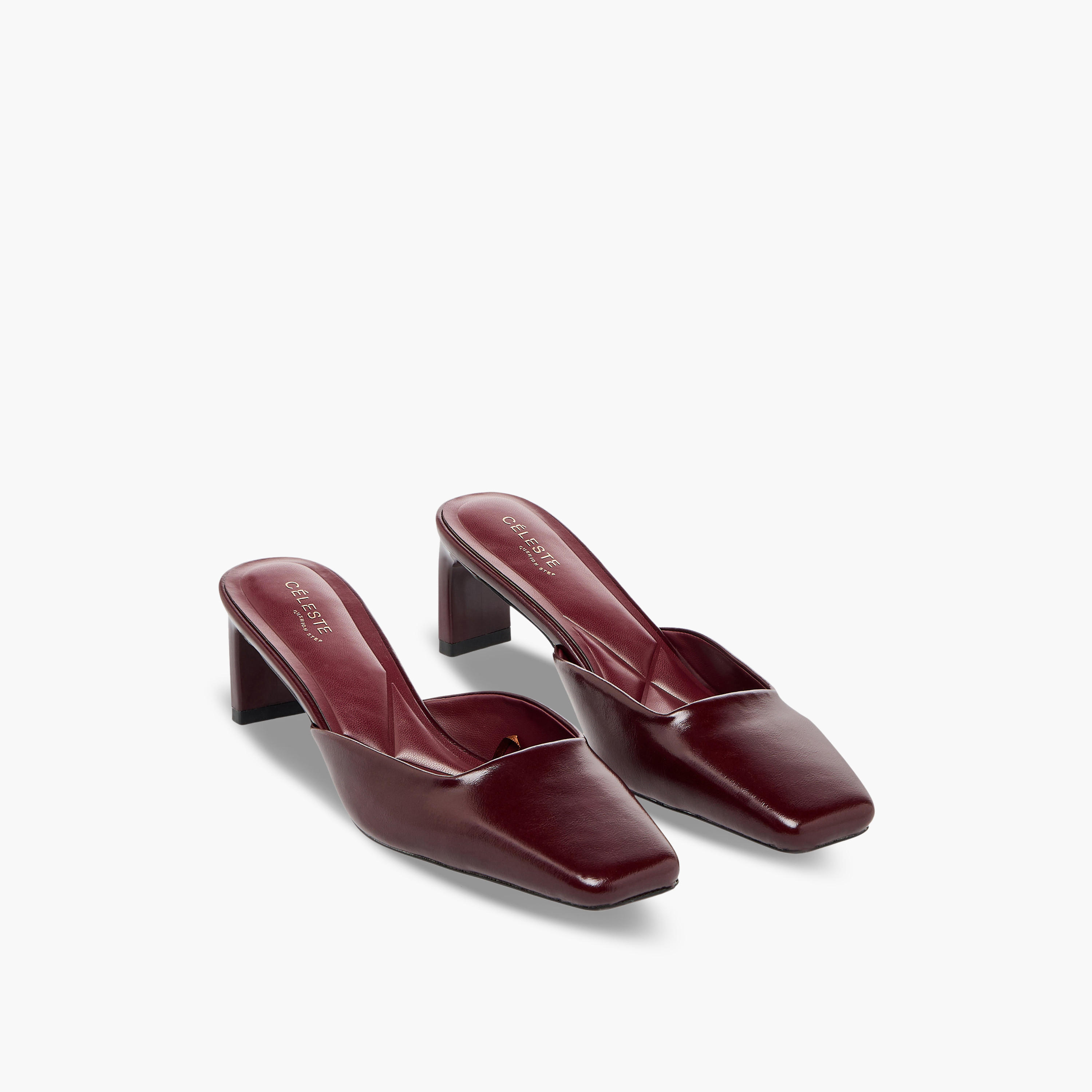Celeste Women Block Heel Shoes-women-shoes-heels-image-1