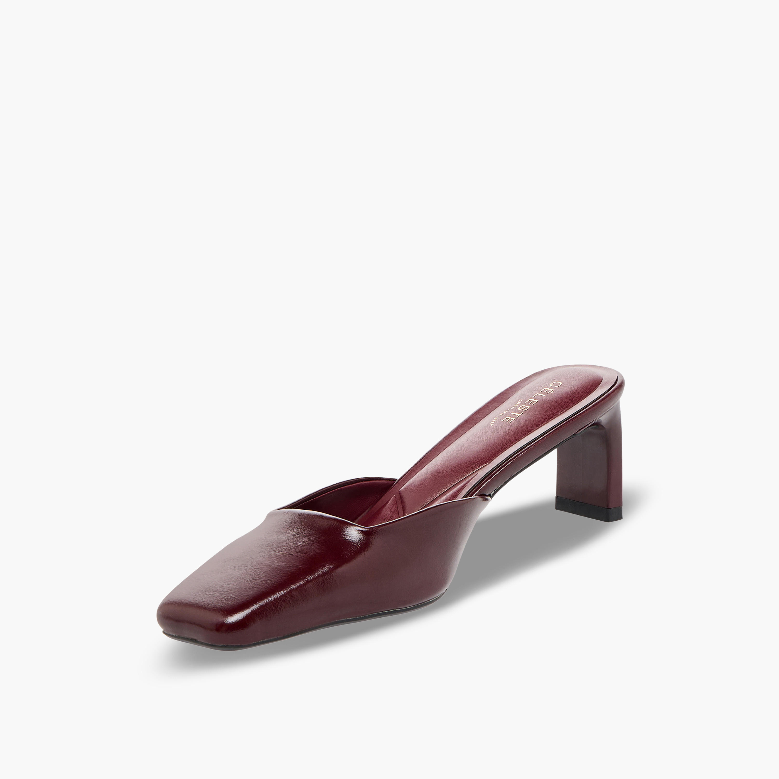 Celeste Women Block Heel Shoes-women-shoes-heels-image-4