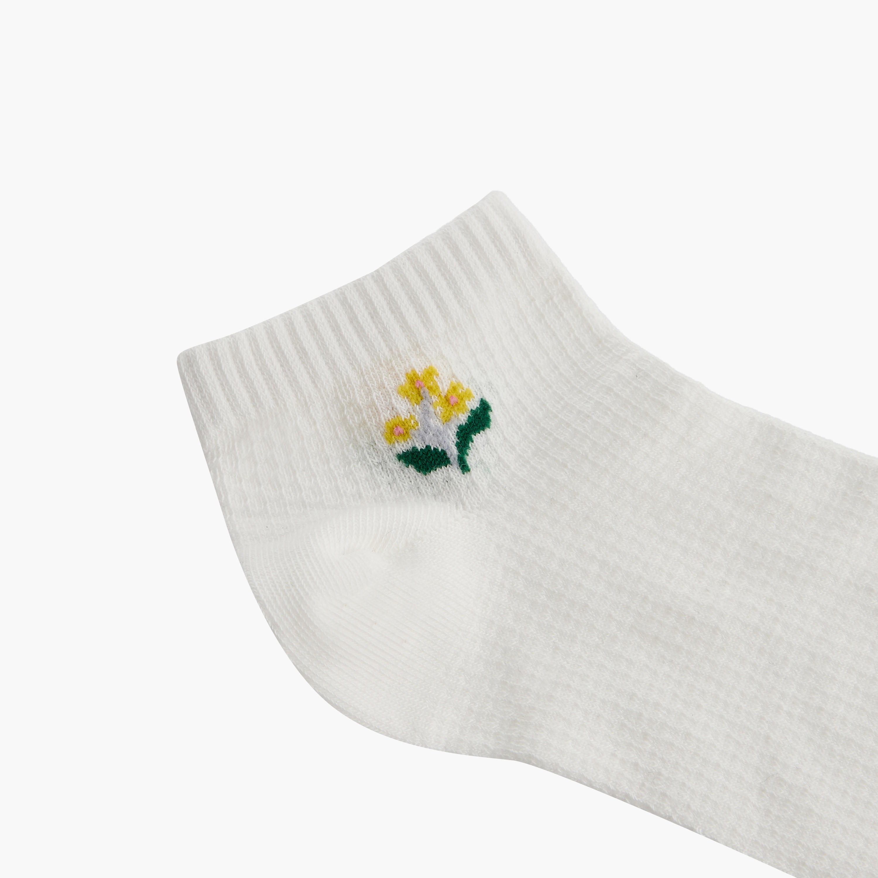 Celeste Pack of 5 Ankle Length Cotton Socks-women-socksandstockings-image-3