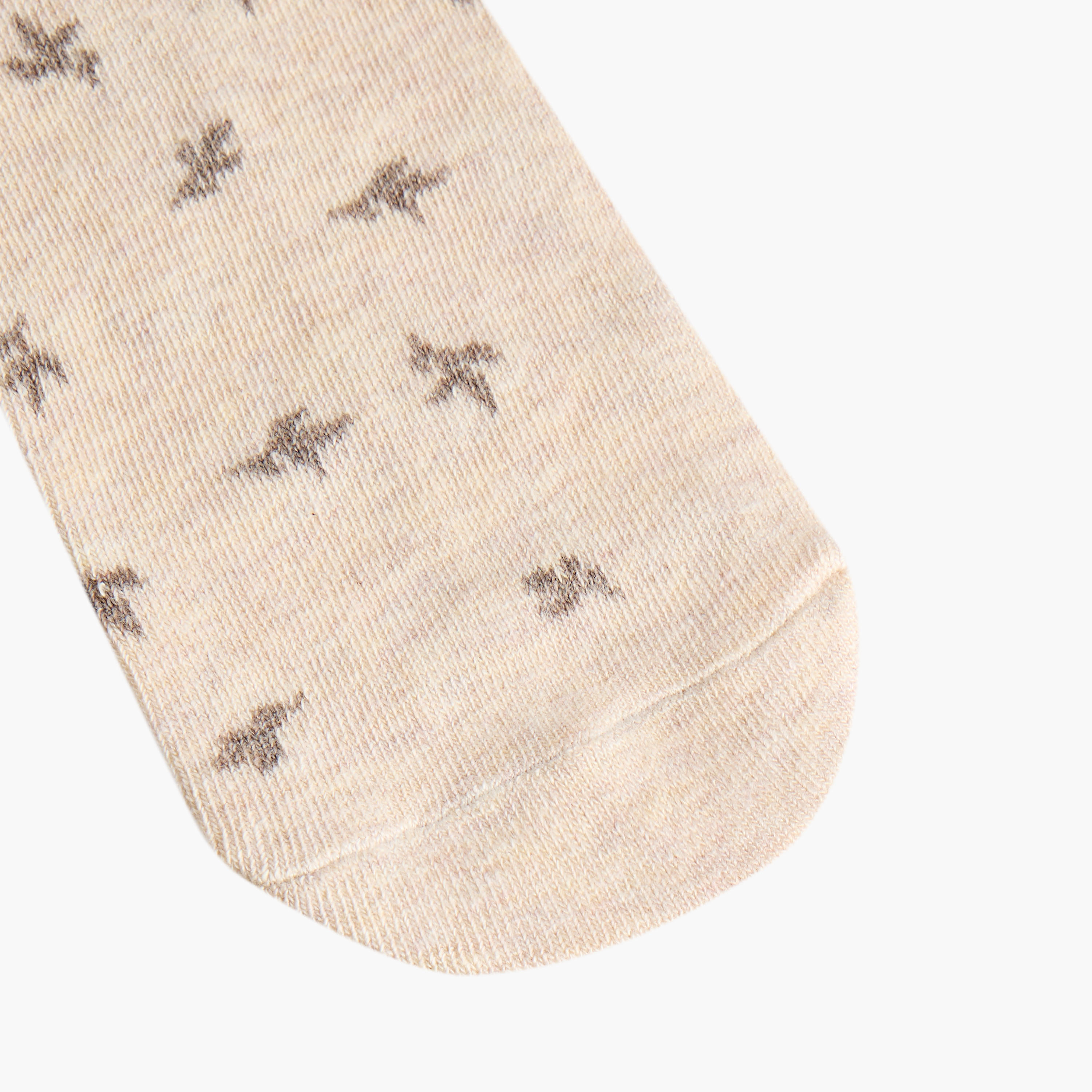 Flora Bella Pack of 5 Ankle Length Cotton Socks-women-socksandstockings-image-3