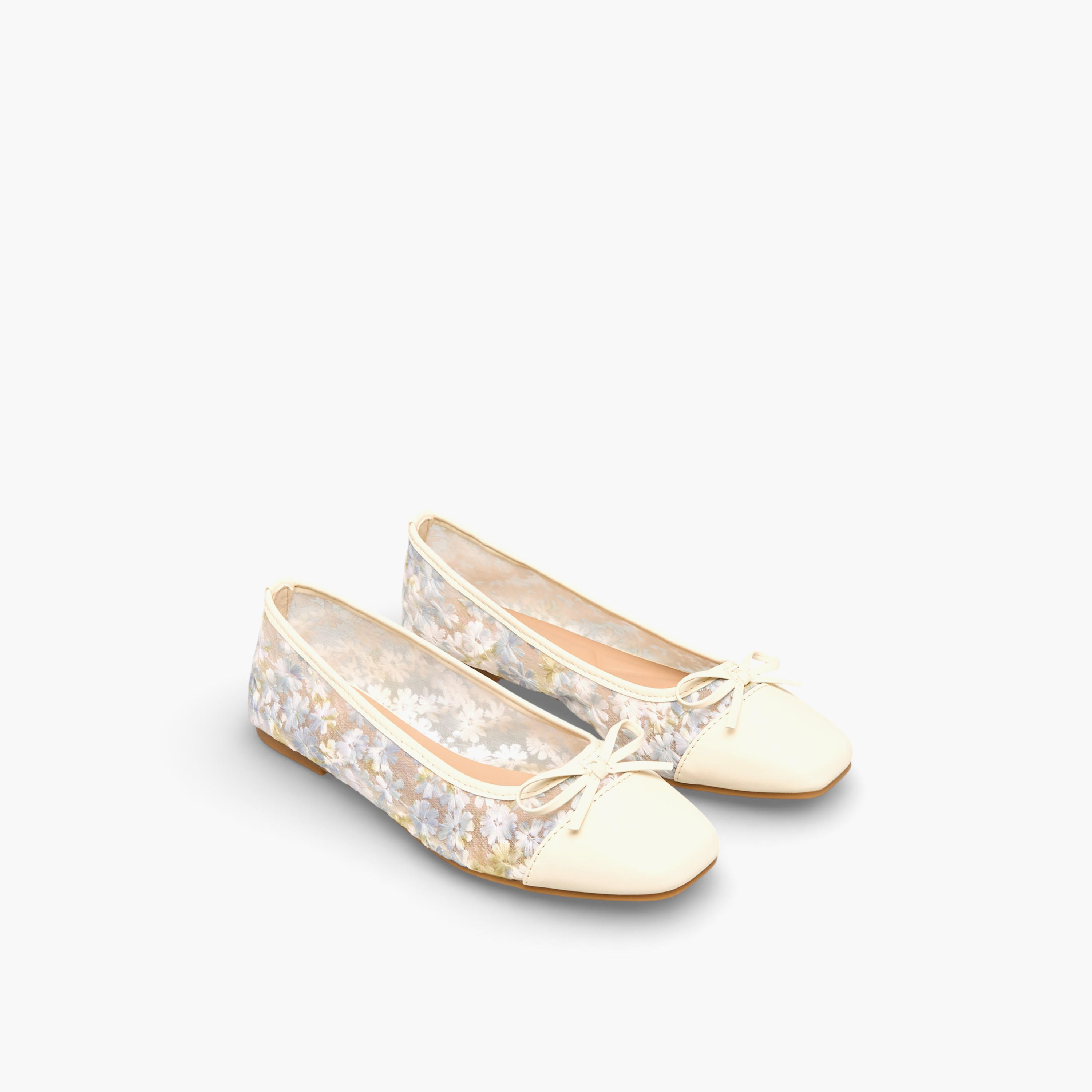Celeste Women Floral Embroidered Ballerina Shoes-women-shoes-ballerinas-image-1