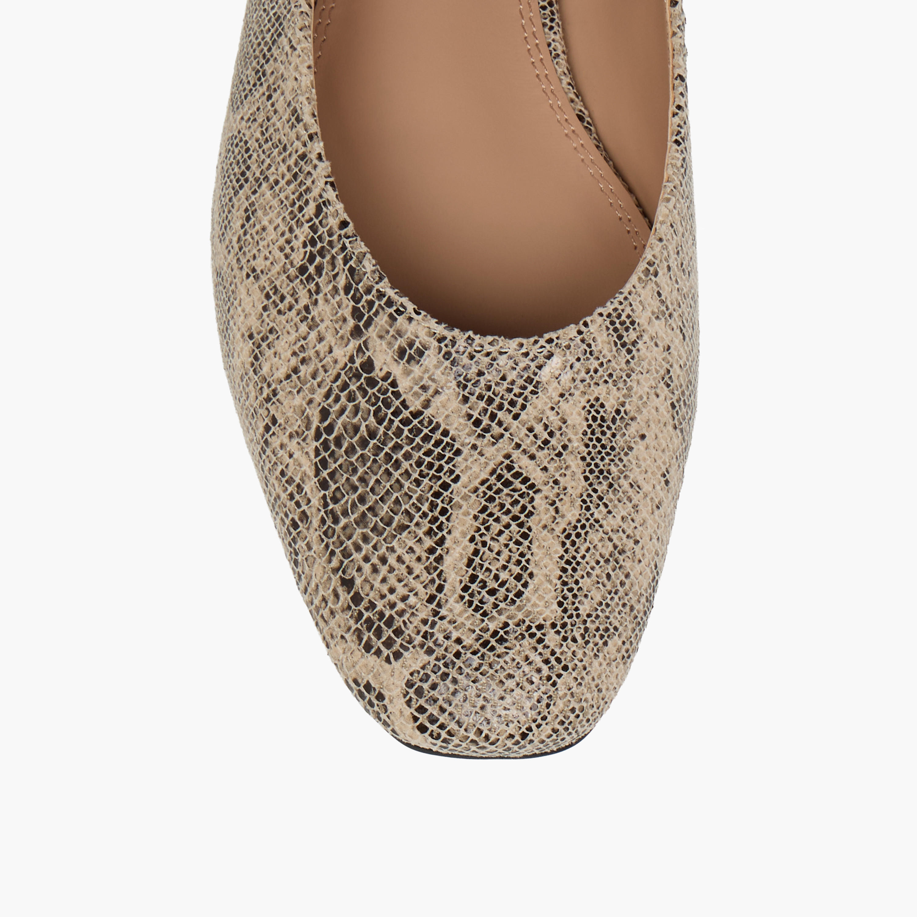 Celeste Women's Animal Print Ballerina Shoes with Buckle Closure-women-shoes-ballerinas-image-5