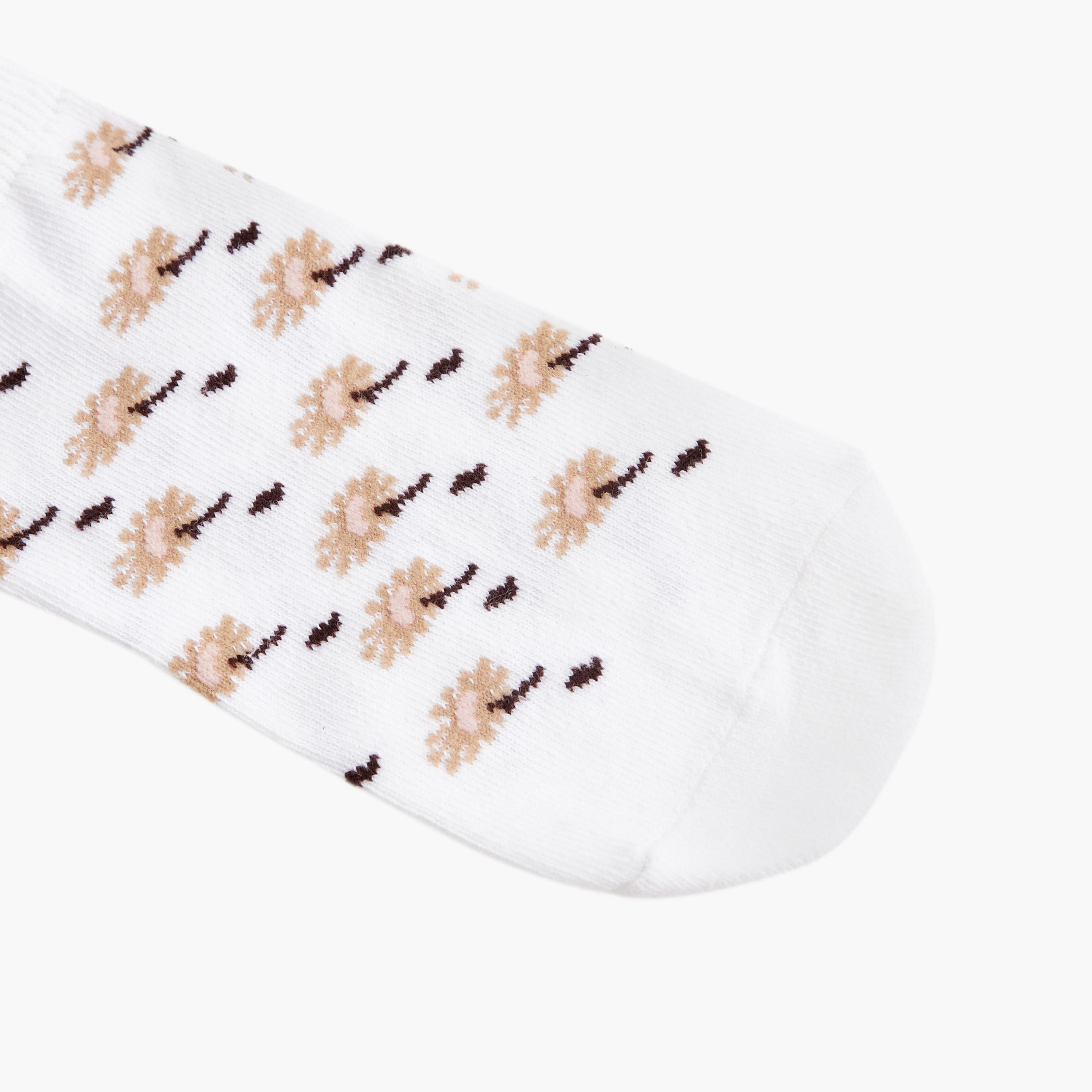 Flora Bella Pack of 5 Ankle Length Cotton Socks-women-socksandstockings-image-3